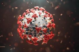 Covid-19 : un médicament pour le cœur efficace contre l'infection des cellules