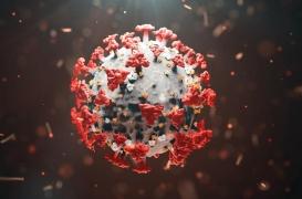Dangerosité du variant anglais, effet du soleil et contamination par les surfaces : des nouvelles rassurantes