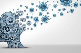 Covid-19 : les formes sévères liées au vieillissement du cerveau