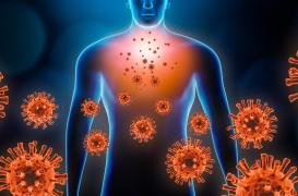 A quoi sert l’inflammation de notre organisme ?