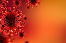 Novid : pourquoi certaines personnes n’ont jamais eu la Covid-19 ?