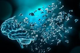 Démence : les aliments ultra-transformés accélèrent le déclin cognitif