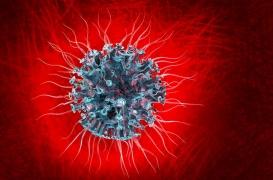 Les cellules infectées par le coronavirus auraient des tentacules