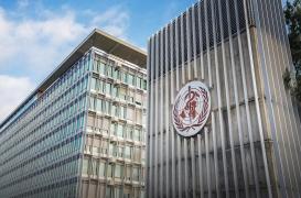 Origine du virus : que dit le rapport de l’OMS ?