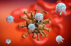 Série traitements Covid-19 : à l’Institut Pasteur de Lille, des résultats encourageants sur le repositionnement d'une molécule existante