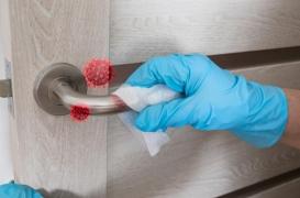 Variole du singe : combien de temps le virus peut-il survivre sur différentes surfaces ?