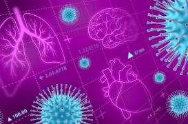 Le Covid-19 pourrait accélérer le vieillissement des organes