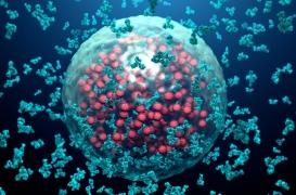 Covid-19 : quel est le seuil d'anticorps protecteur contre une (ré)infection ?