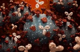Série traitements Covid-19 : l’avdoralimab, un anticorps monoclonal pour éviter les pneumonies sévères