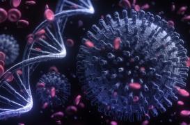 Le SARS-CoV-2 capable de s'intégrer dans le génome ? La controverse se poursuit
