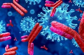 Covid-19 : l'immunité serait solide ... durant 6 mois