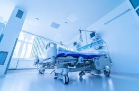 Guyane : un homme décédé de la rage pour la première fois en 16 ans