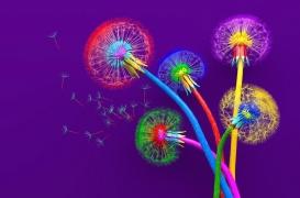 Vision : nous ne percevons pas tous les couleurs de la même façon