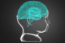 Dès la naissance, on peut prédire la capacité à apprendre différentes langues 