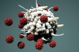 Une nouvelle immunothérapie pour cibler le VIH