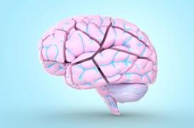 Recherche sur Alzheimer : et si vous faisiez un 