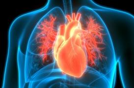 Auscultée pour une toux, elle découvre que son cœur est ... à droite