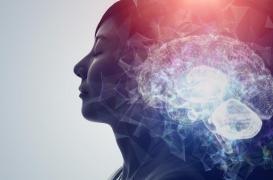 Comment notre cerveau construit notre mémoire pendant notre sommeil