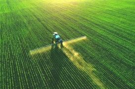 Pesticides : attention, danger pour les reins