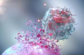 Cancer : les corticoïdes réduiraient l'efficacité de l’immunothérapie 