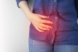 Maladie de Crohn : quel est le rôle de la Debaryomyces hansenii ?
