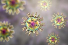 Herpès génital : quels signes doivent alerter ? 