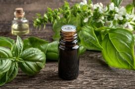 Manger du basilic pourrait prévenir le risque d'Alzheimer 