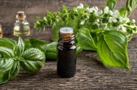 Basilic, fenouil, estragon : faut-il se méfier de certaines huiles essentielles ?