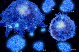 Covid-19 : la fausse piste de l’«orage cytokinique» 