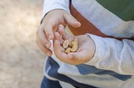 La pollution de l’air est liée aux allergies aux arachides pendant l’enfance