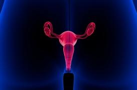 Cancer du col de l’utérus : où en est le dépistage en France ?