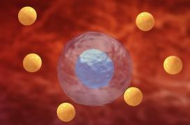 Le double visage des radicaux libres : à la fois cause et protection dans le cancer