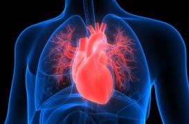 Qu'est-ce-que le syndrome métabolique cardio-rénal ?