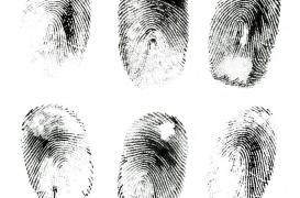 Empreintes digitales : elles sont la clé du toucher