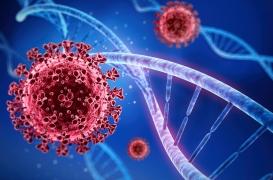 Obésité, origine ethnique : des facteurs de risques qui s’additionnent dans la Covid-19