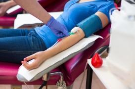 Les réserves sont basses : peut-on le donner son sang en ces temps de Covid-19 ? 