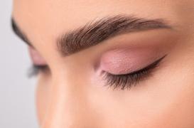 Les gènes qui définissent la forme des sourcils 