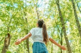 Planter des arbres, le secret pour vivre plus longtemps ?