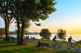 Vivre près de la verdure fait rajeunir de 2,5 ans