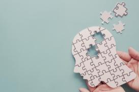 Une protéine impliquée dans la mémoire à long terme 