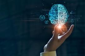 Et si on pouvait étudier la croissance du cerveau tout au long de l'existence ?