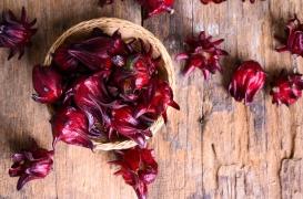 Obésité : cette plante pourrait nous aider à perdre du poids