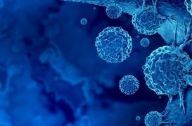 Cancers précoces : le vieillissement accéléré des jeunes générations en cause ?