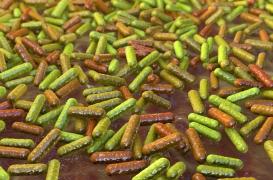 Diphtérie : une nouvelle espèce de bactérie identifiée par l’Institut Pasteur 