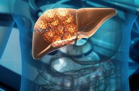 Amyotrophie spinale : les personnes atteintes peuvent aussi souffrir de lésions hépatiques