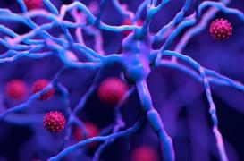 Covid et Alzheimer : un facteur de risque génétique commun