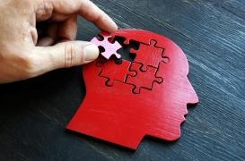 Enseignement supérieur et compétences linguistiques : un effet protecteur contre la démence ? 