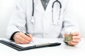 Cannabis thérapeutique : top départ pour l’expérimentation