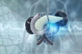 Cancer du pancréas : la liste des symptômes parfois méconnus
