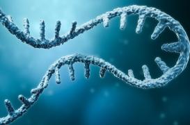 ARN messager : un vaccin contre les cancers “d’ici quelques années” 